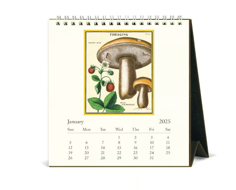 Foraging 2025 Desk Calendar