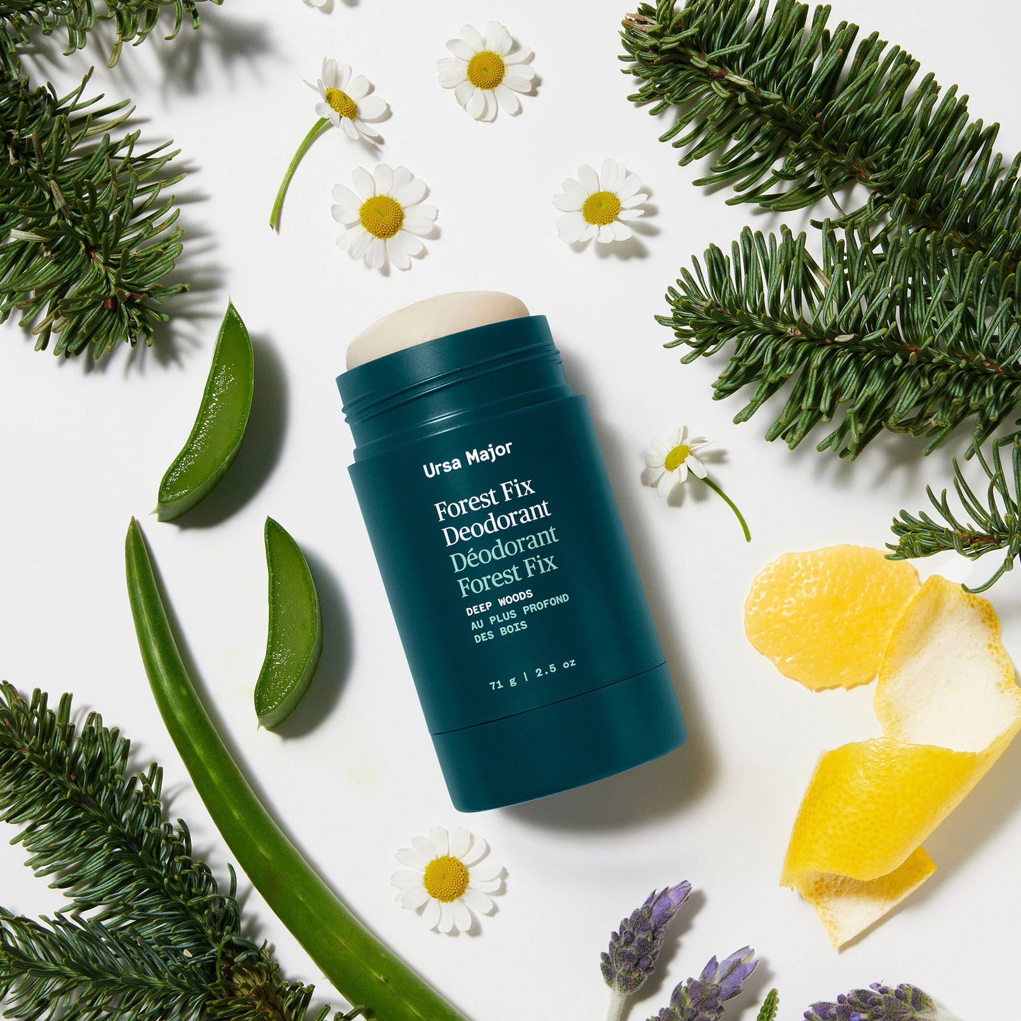 Forest Fix Deodorant