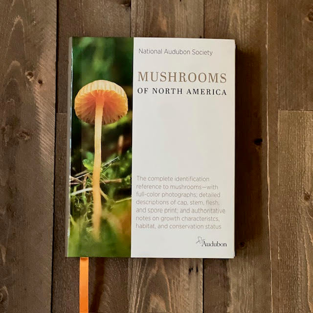 National Audubon Mushrooms