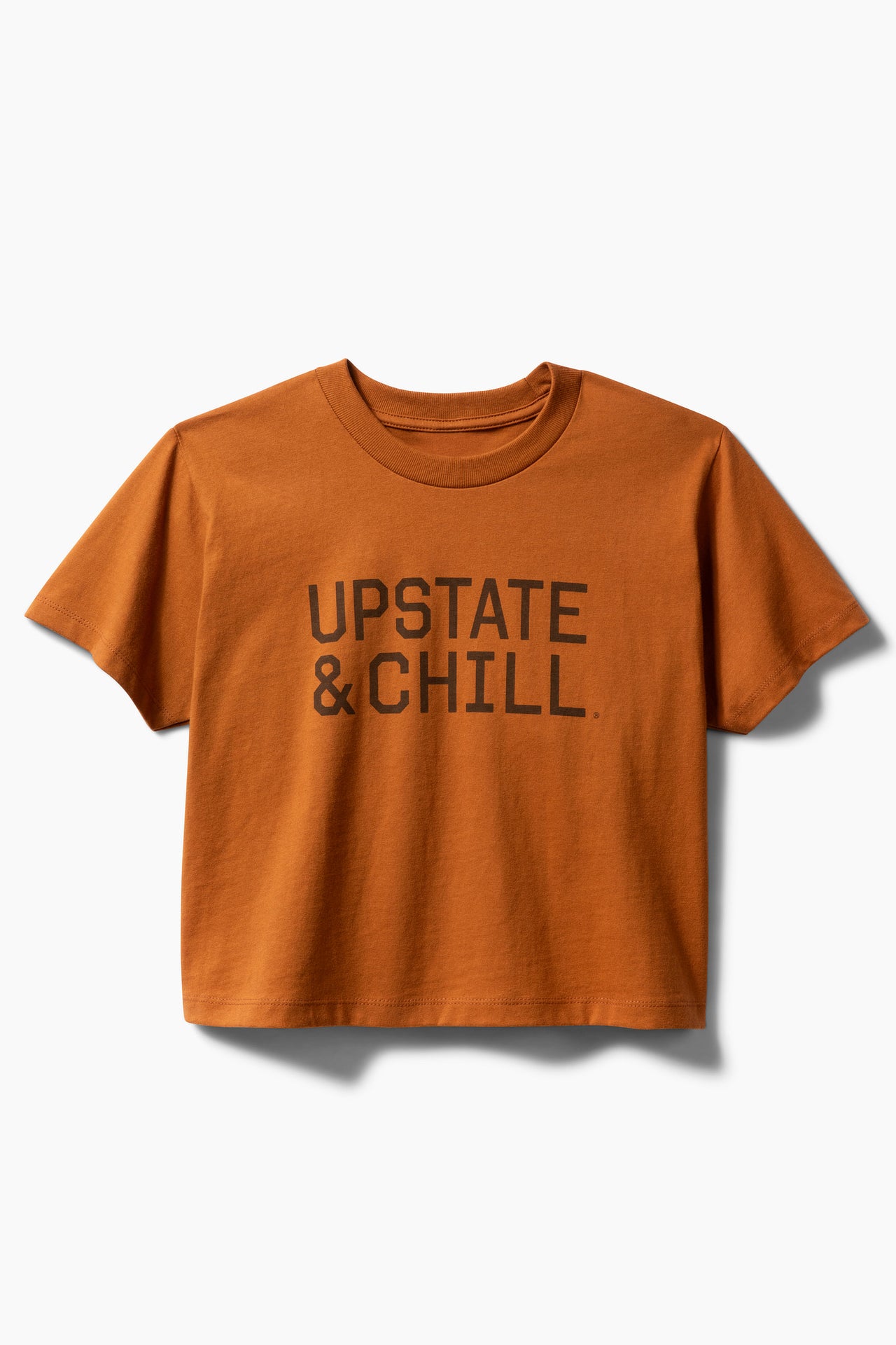 Women's The Linear Heavyweight Boxy T - Clay / Dark Brown