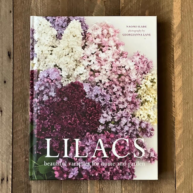 Lilacs