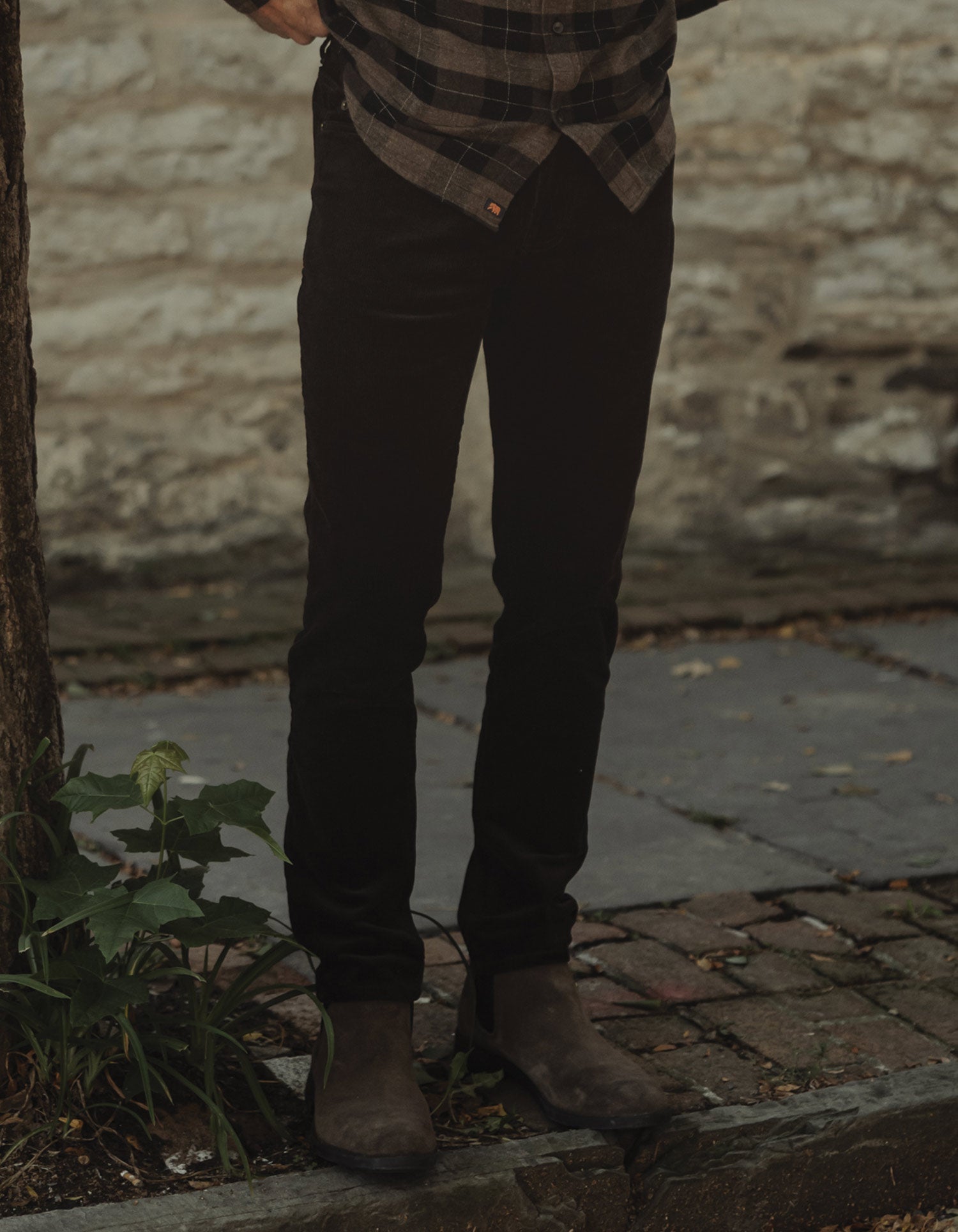 Cord 5-Pocket Pant -  Dark Brown
