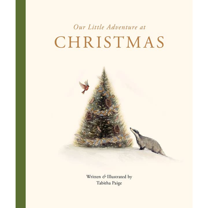Our Little Adventure at Christmas Book