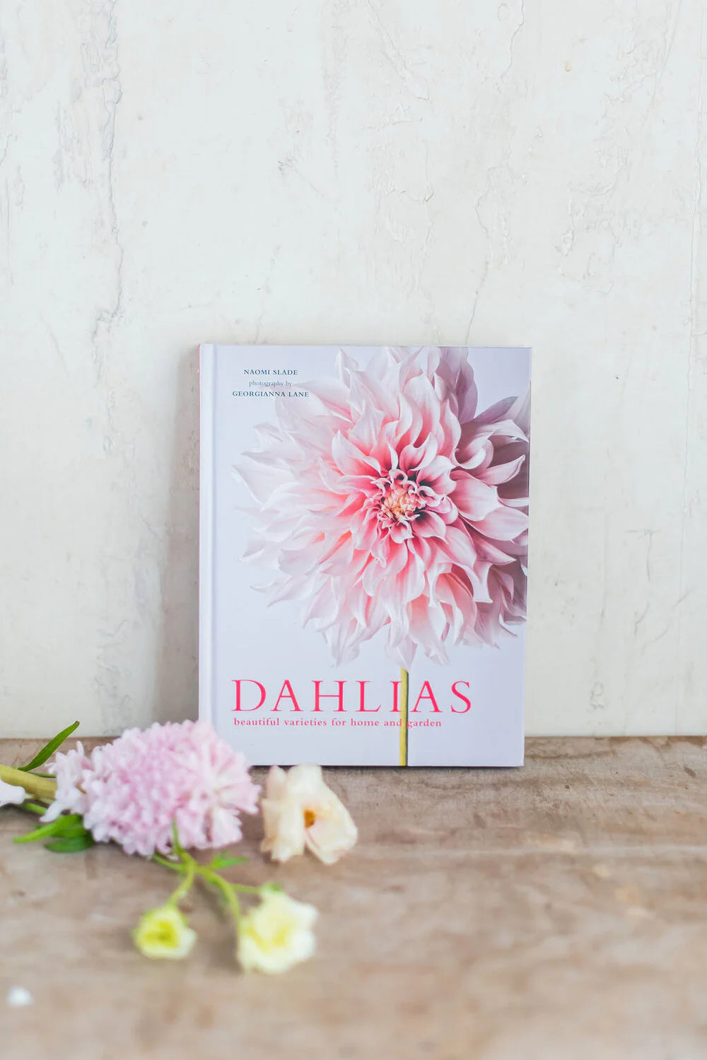 Dahlias