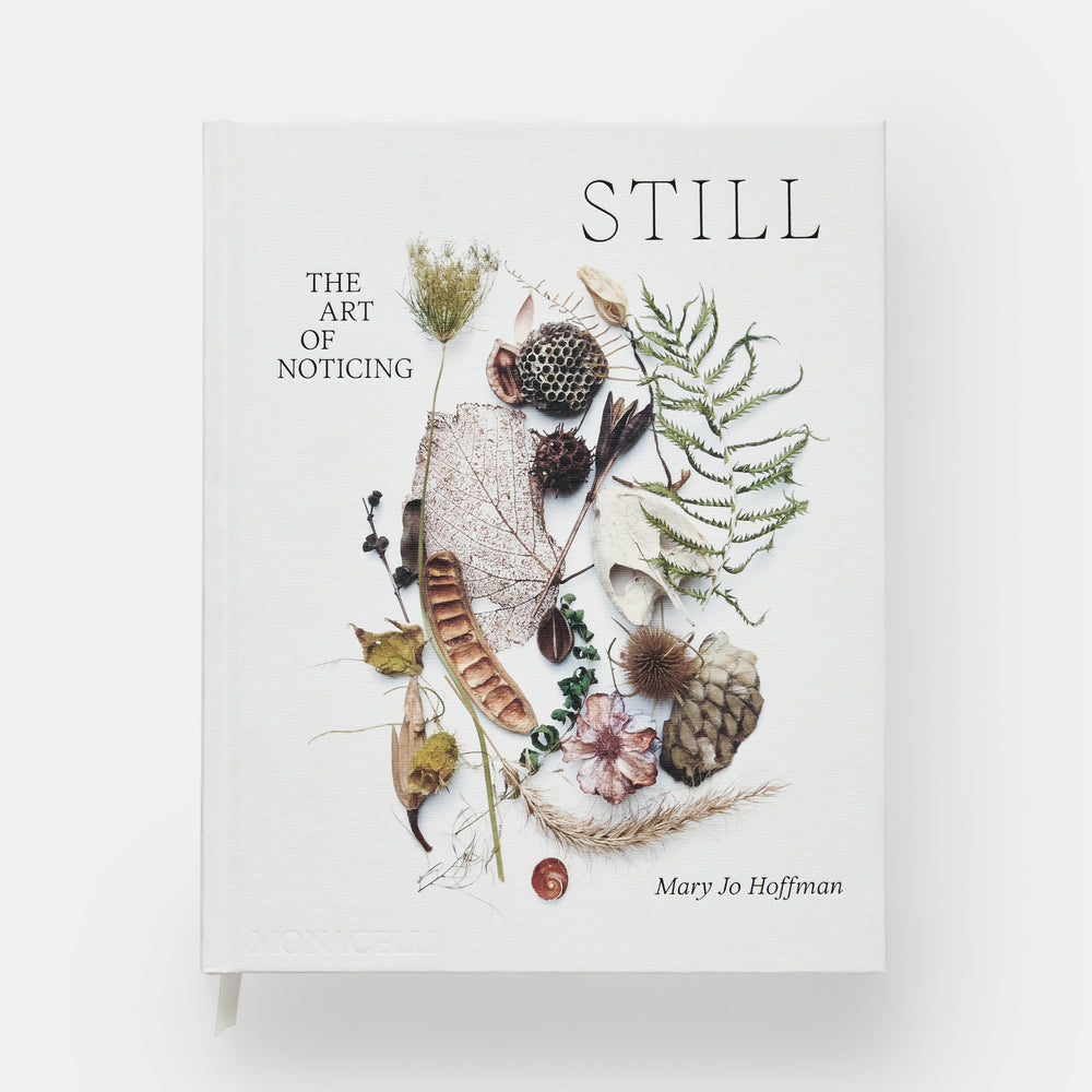 STILL - The Art of Noticing