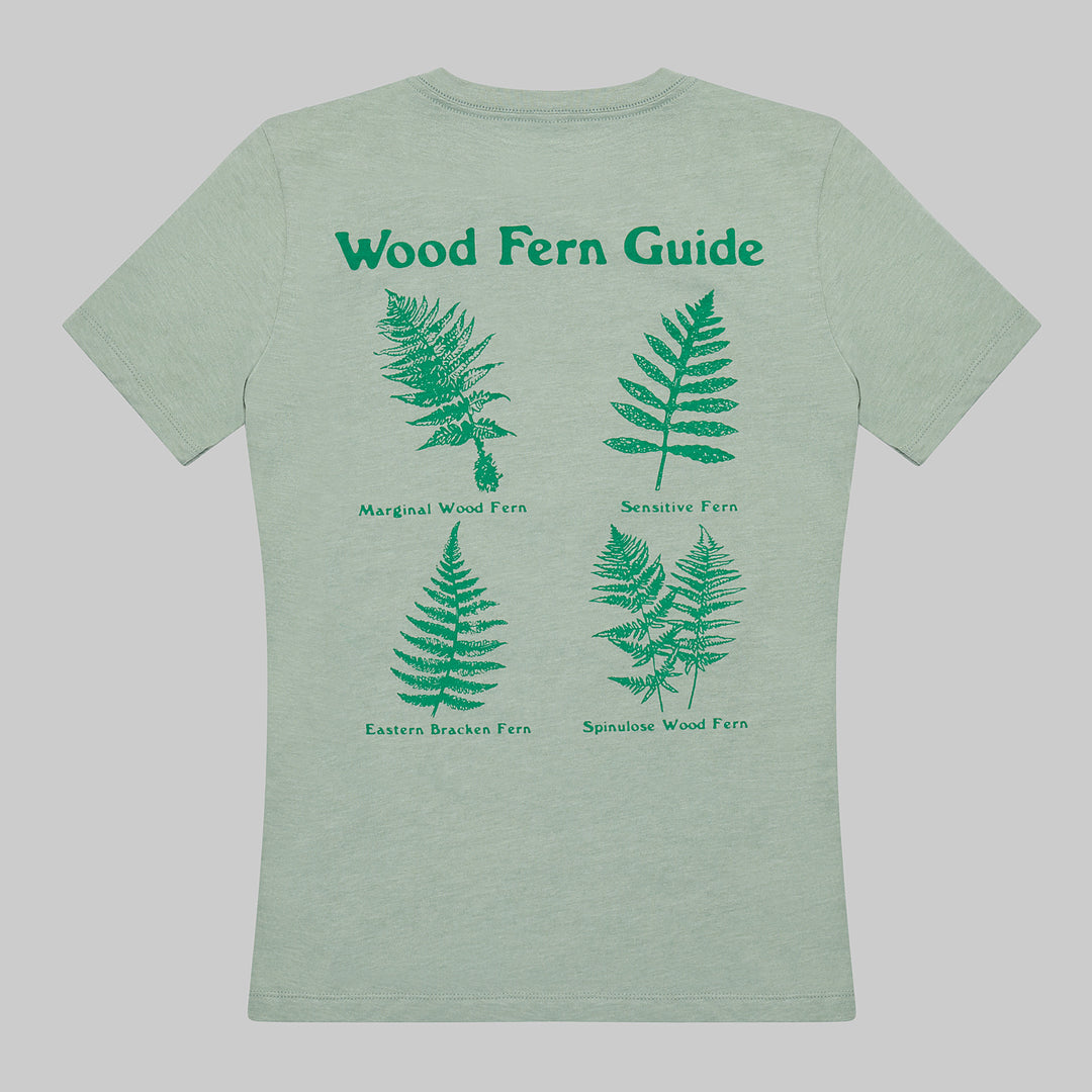 Ferns of NY Native Guide