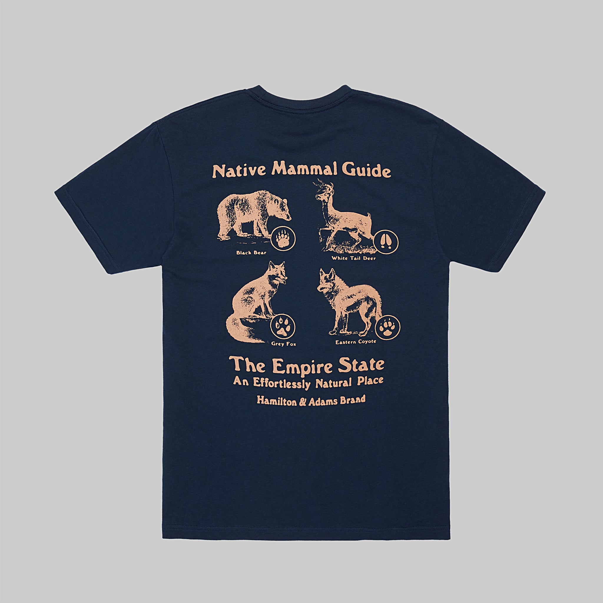 Native Mammal Guide T