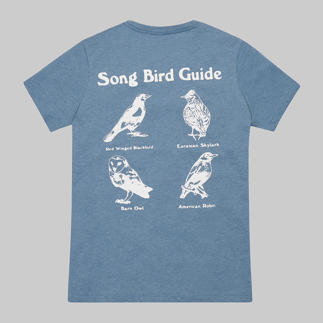 Song Birds of NY Native Guide